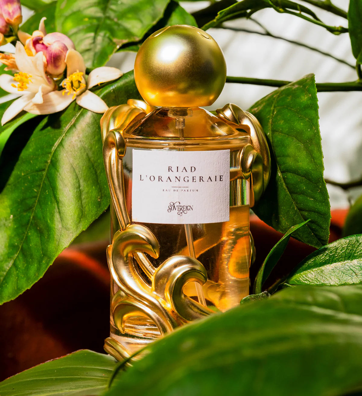 Riad L'Orangeraie luxury perfume bottle with warm lighting, moroccan neroli and sandalwood texture surrounded by orange blossoms